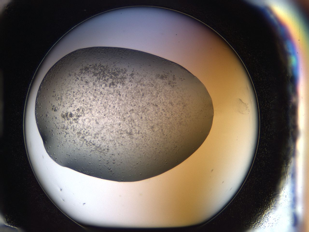 040l_H12_ImagerDefaults_6.jpg