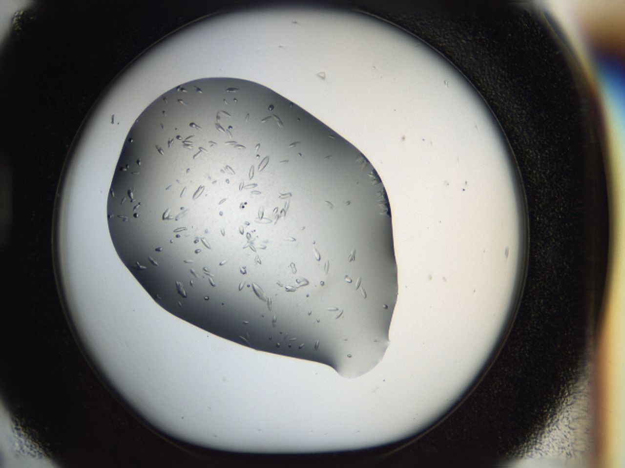 040m_D6_ImagerDefaults_7.jpg