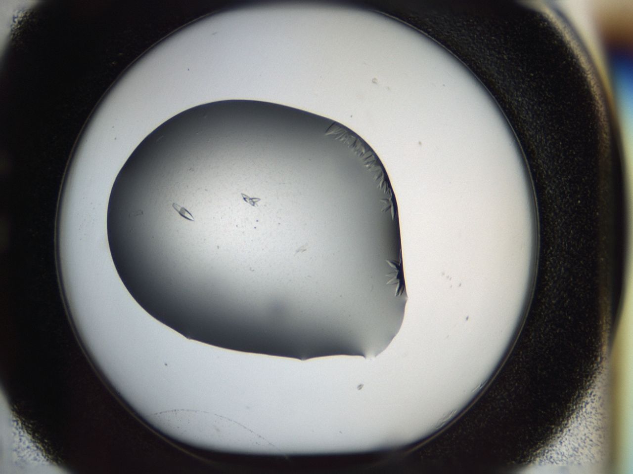 040m_C5_ImagerDefaults_7.jpg