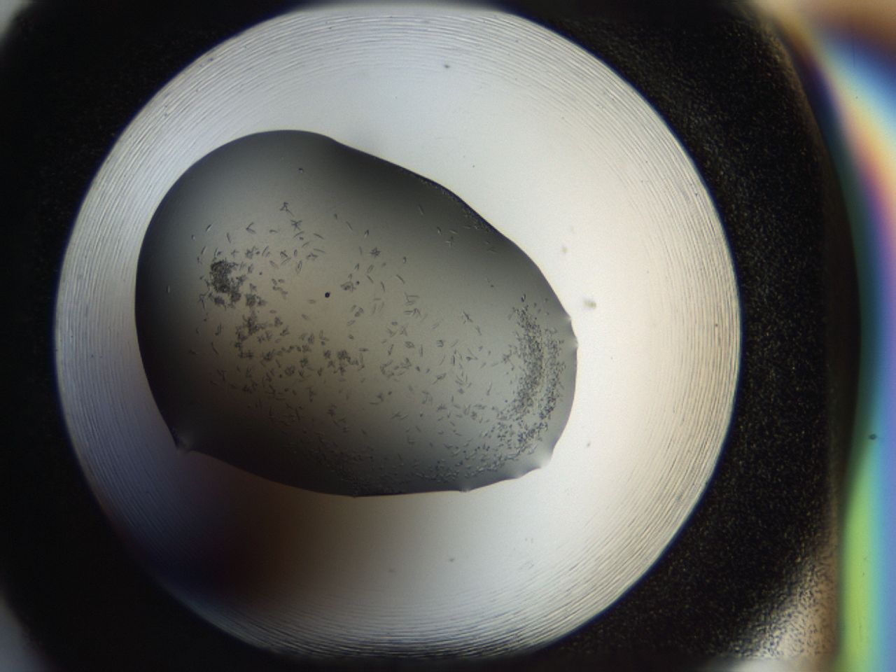 040m_F5_ImagerDefaults_7.jpg