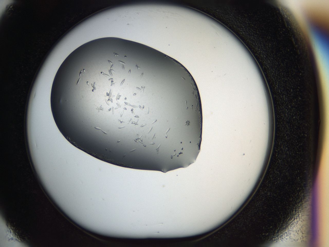 040m_E5_ImagerDefaults_7.jpg