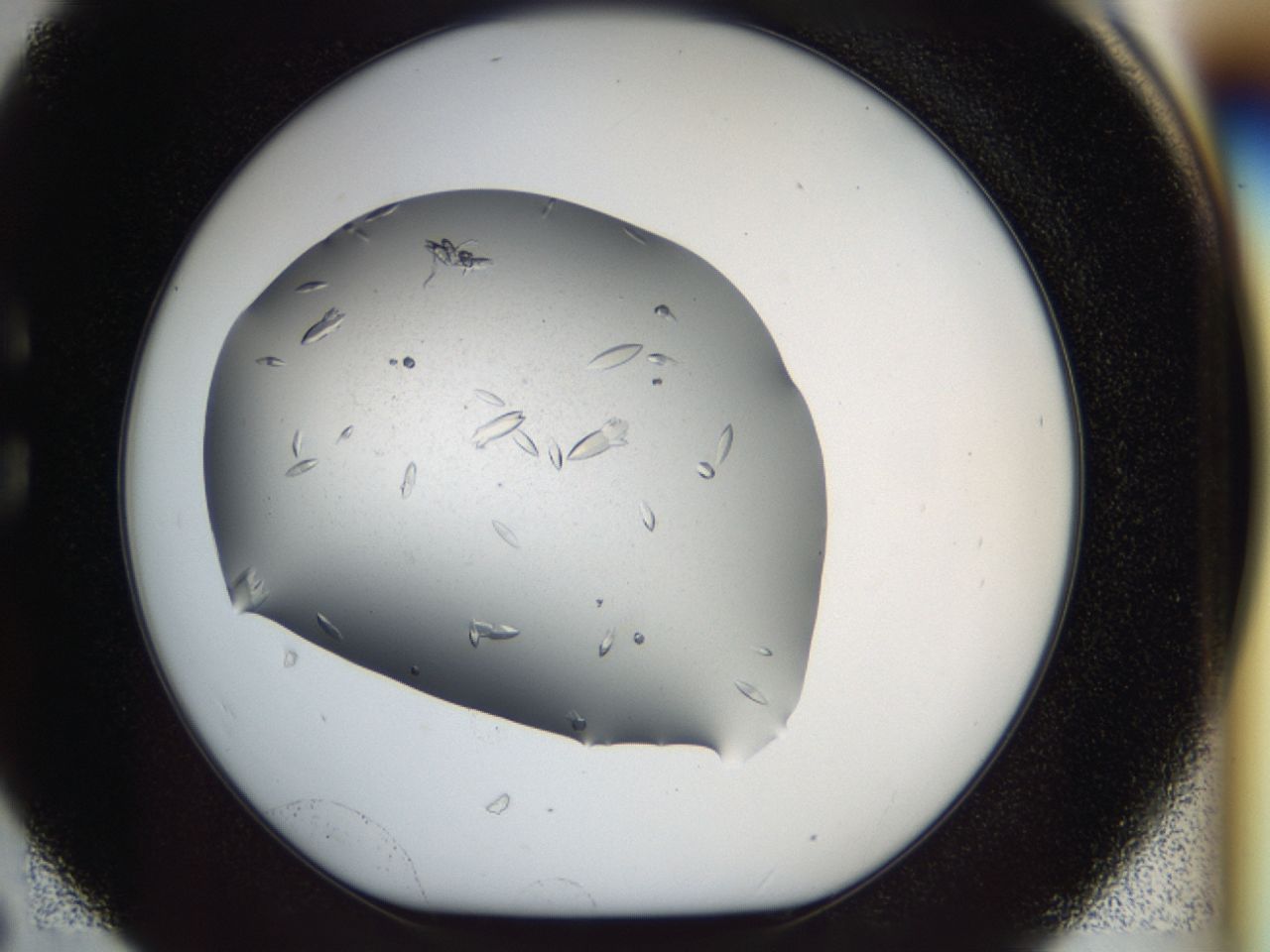 040m_C6_ImagerDefaults_8.jpg