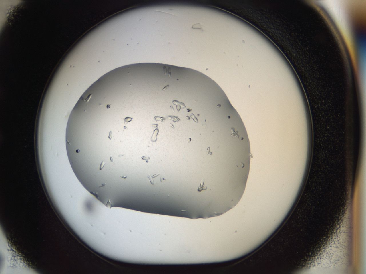 040m_C7_ImagerDefaults_6.jpg