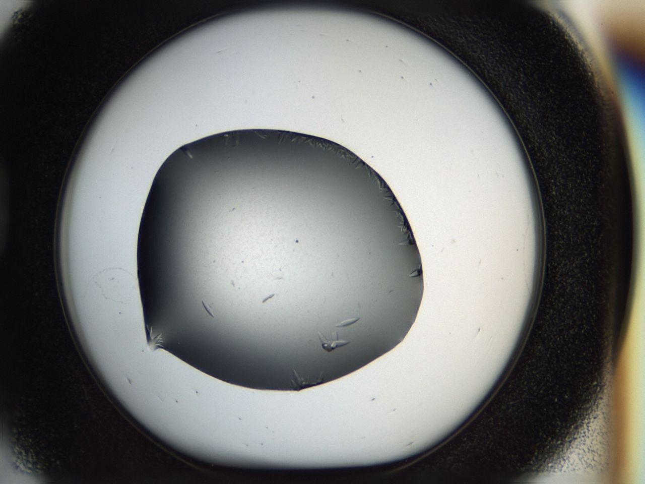 040m_D5_ImagerDefaults_8.jpg