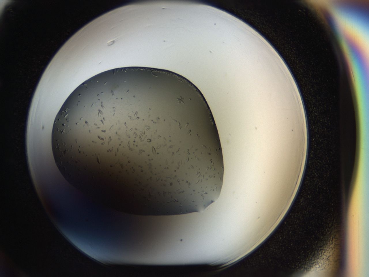 040m_F6_ImagerDefaults_7.jpg