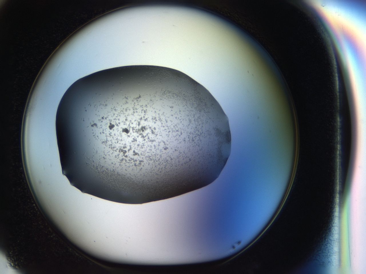 040m_G5_ImagerDefaults_6.jpg