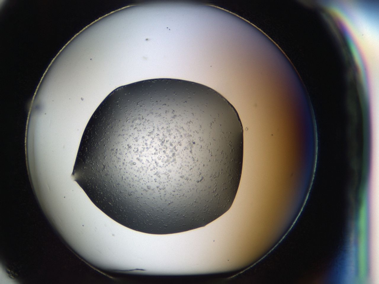 040m_G7_ImagerDefaults_6.jpg