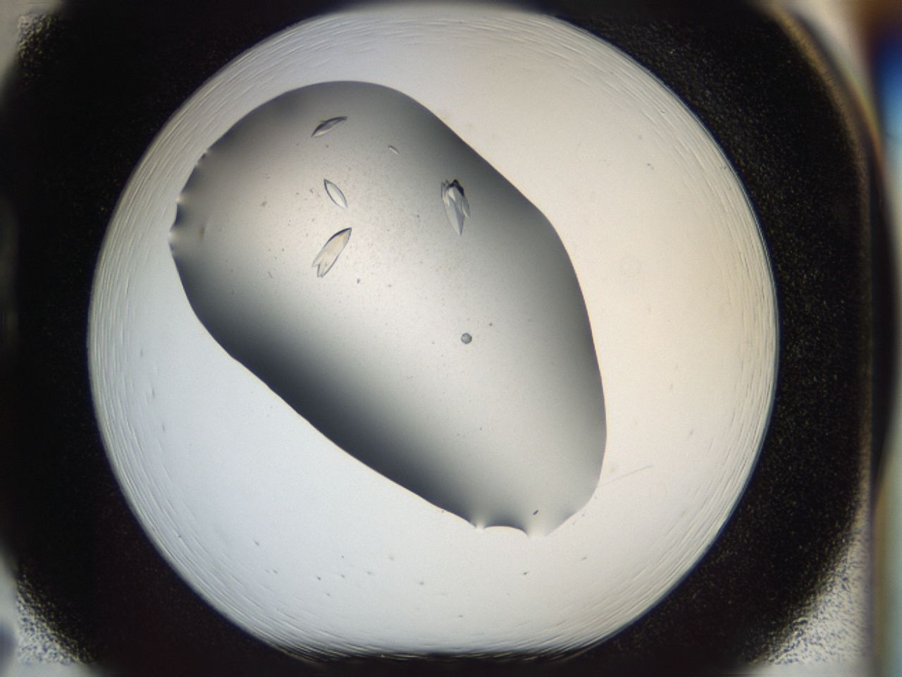 040m_B7_ImagerDefaults_8.jpg