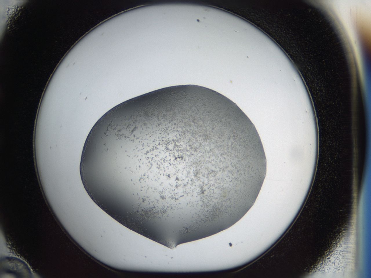 040p_C10_ImagerDefaults_6.jpg