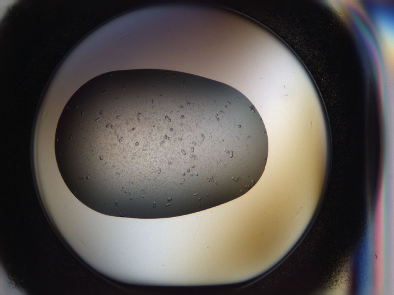 040p_F7_ImagerDefaults_6.jpg