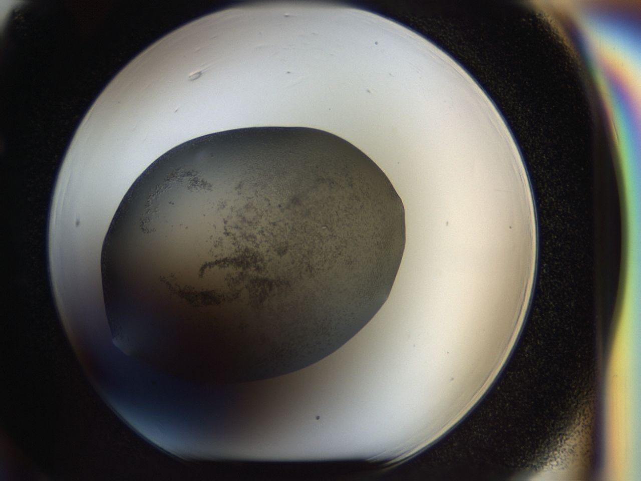 040p_F6_ImagerDefaults_6.jpg