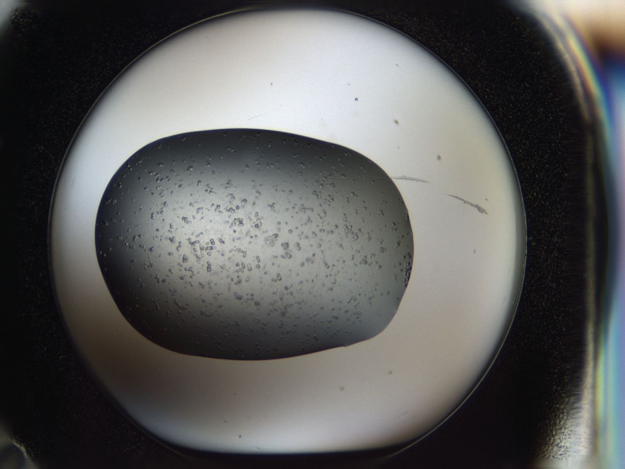 040p_F11_ImagerDefaults_6.jpg