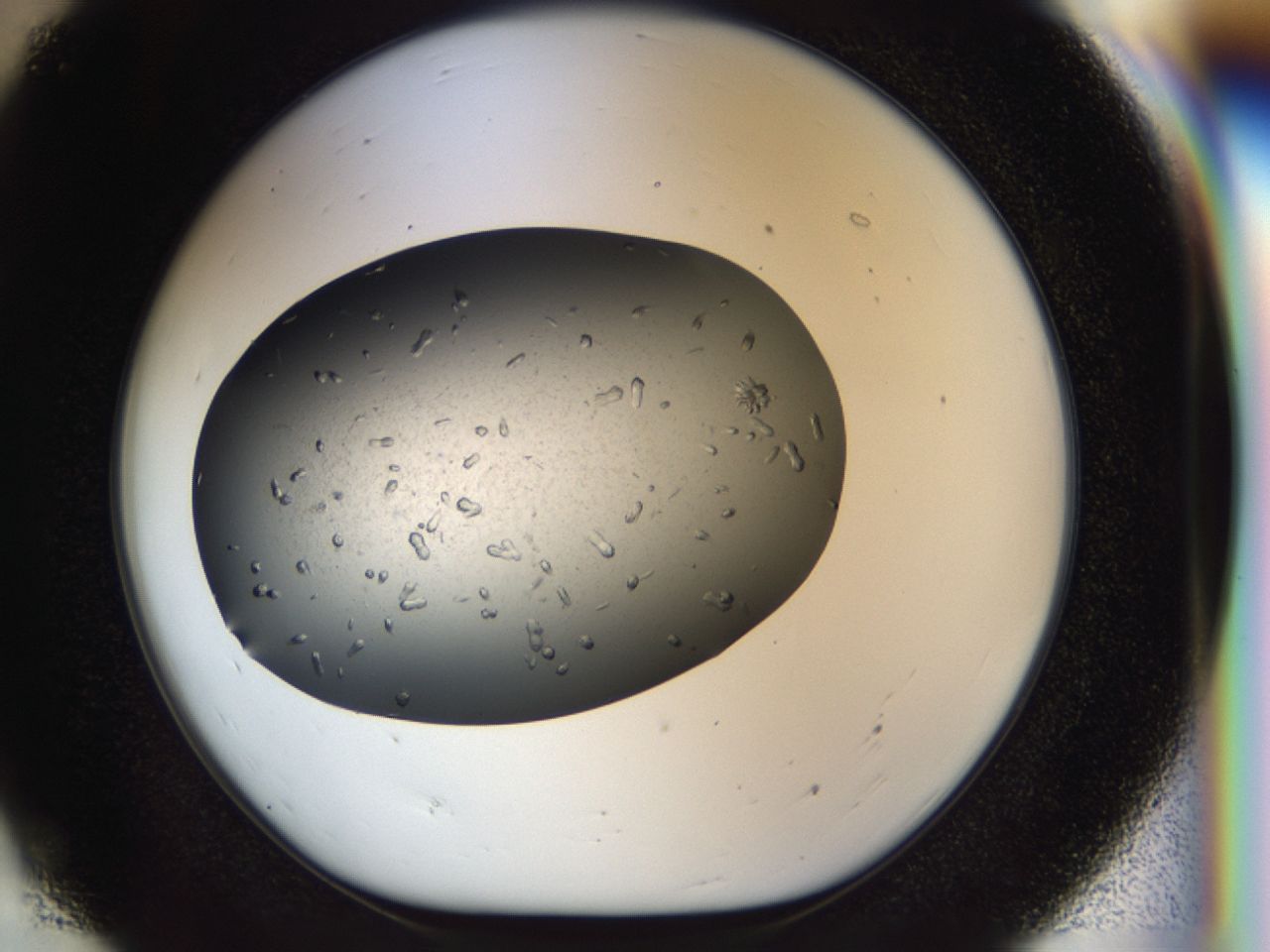 040p_E7_ImagerDefaults_6.jpg