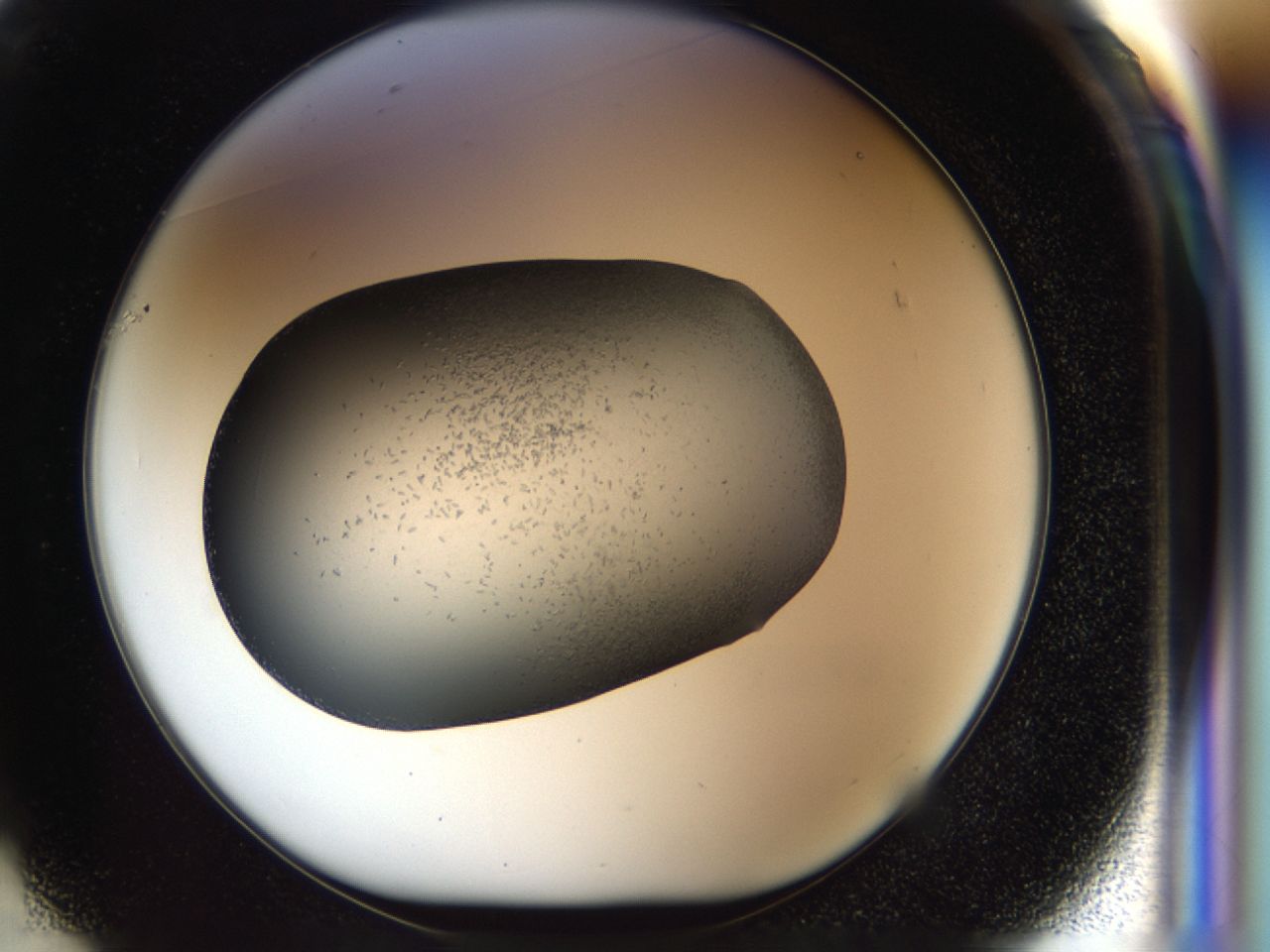 040p_F1_ImagerDefaults_6.jpg