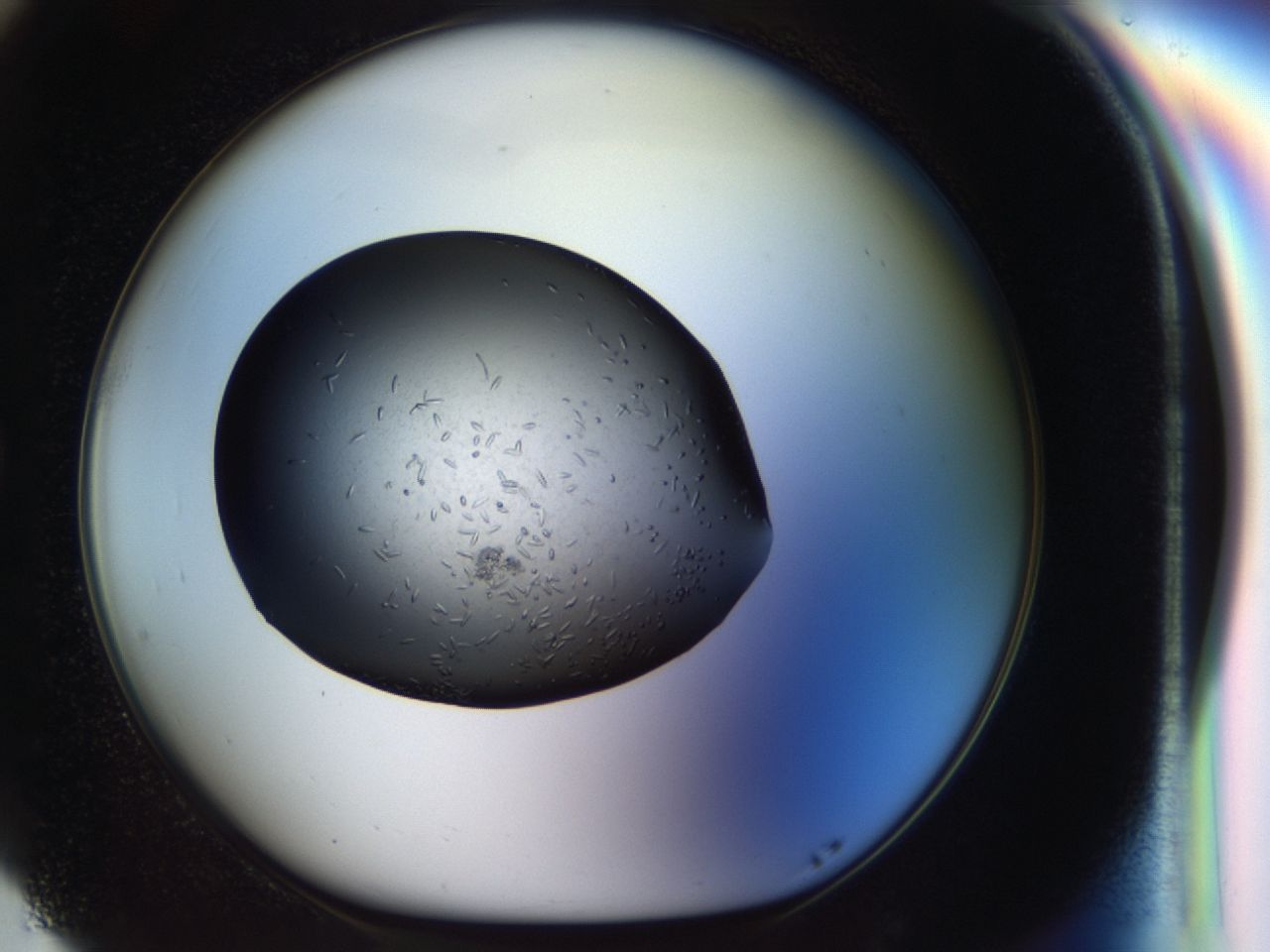 040p_G5_ImagerDefaults_6.jpg