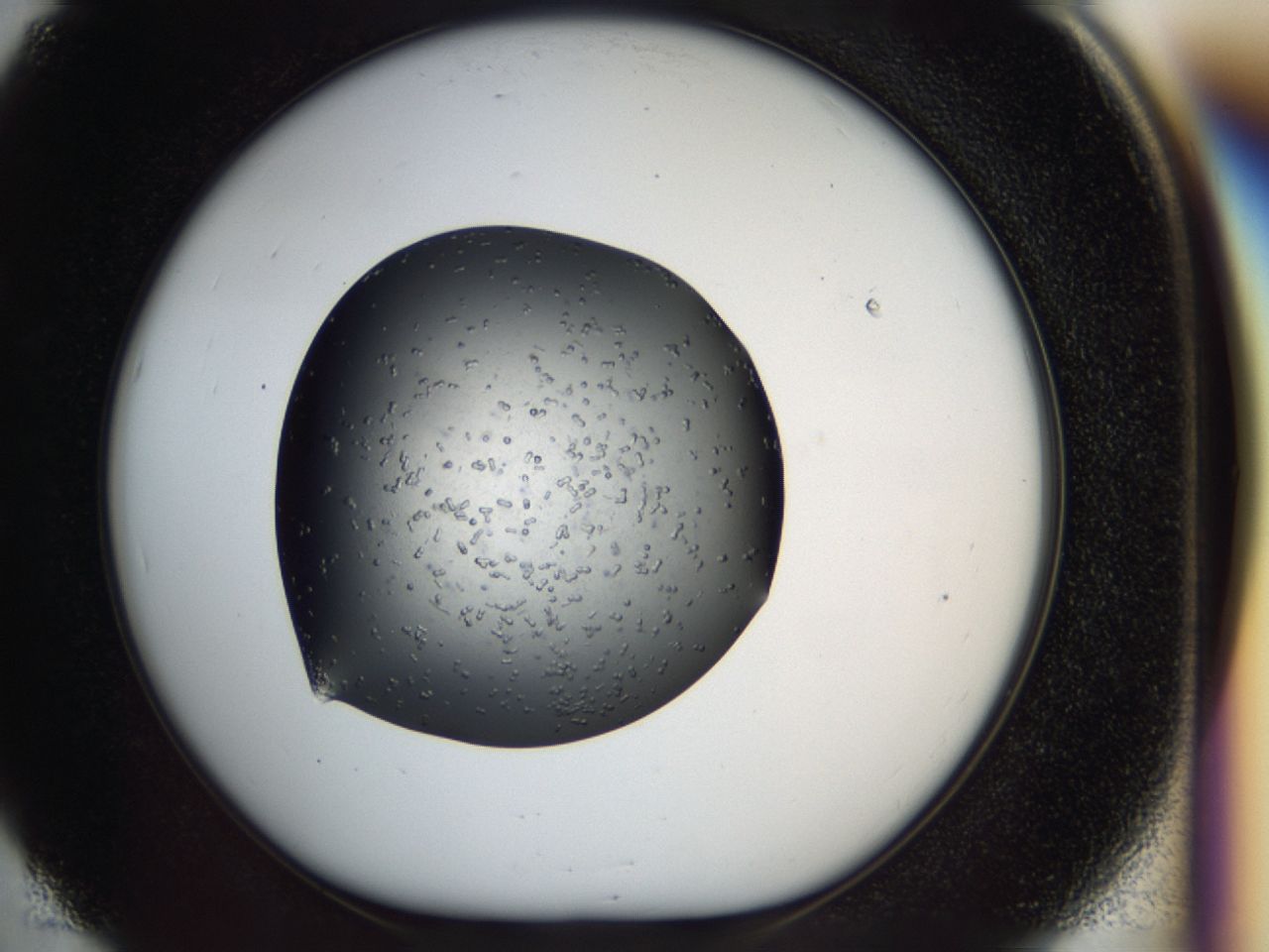 040p_E5_ImagerDefaults_6.jpg