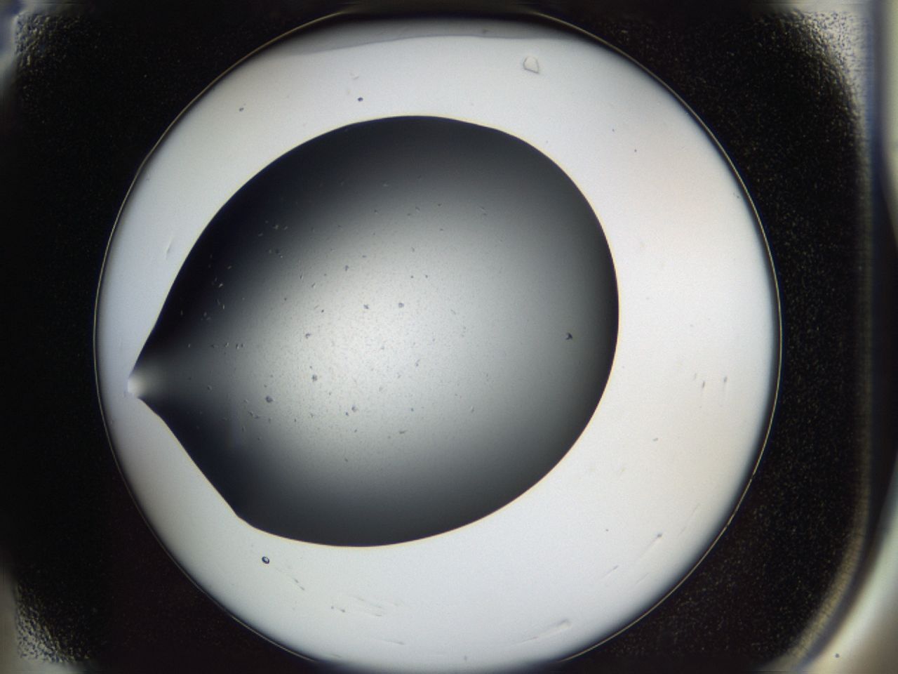 0417_A4_ImagerDefaults_8.jpg