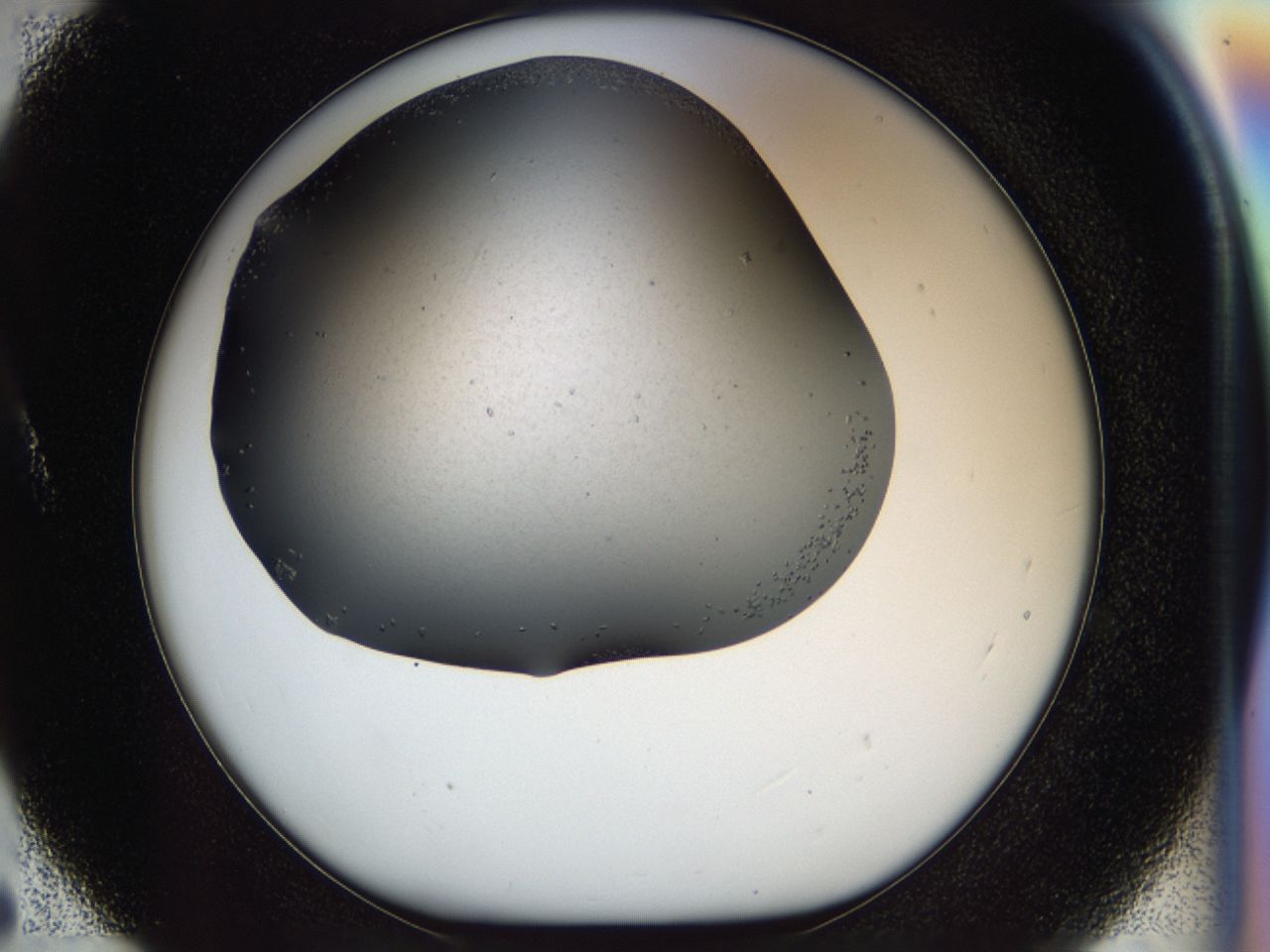 0417_A5_ImagerDefaults_7.jpg