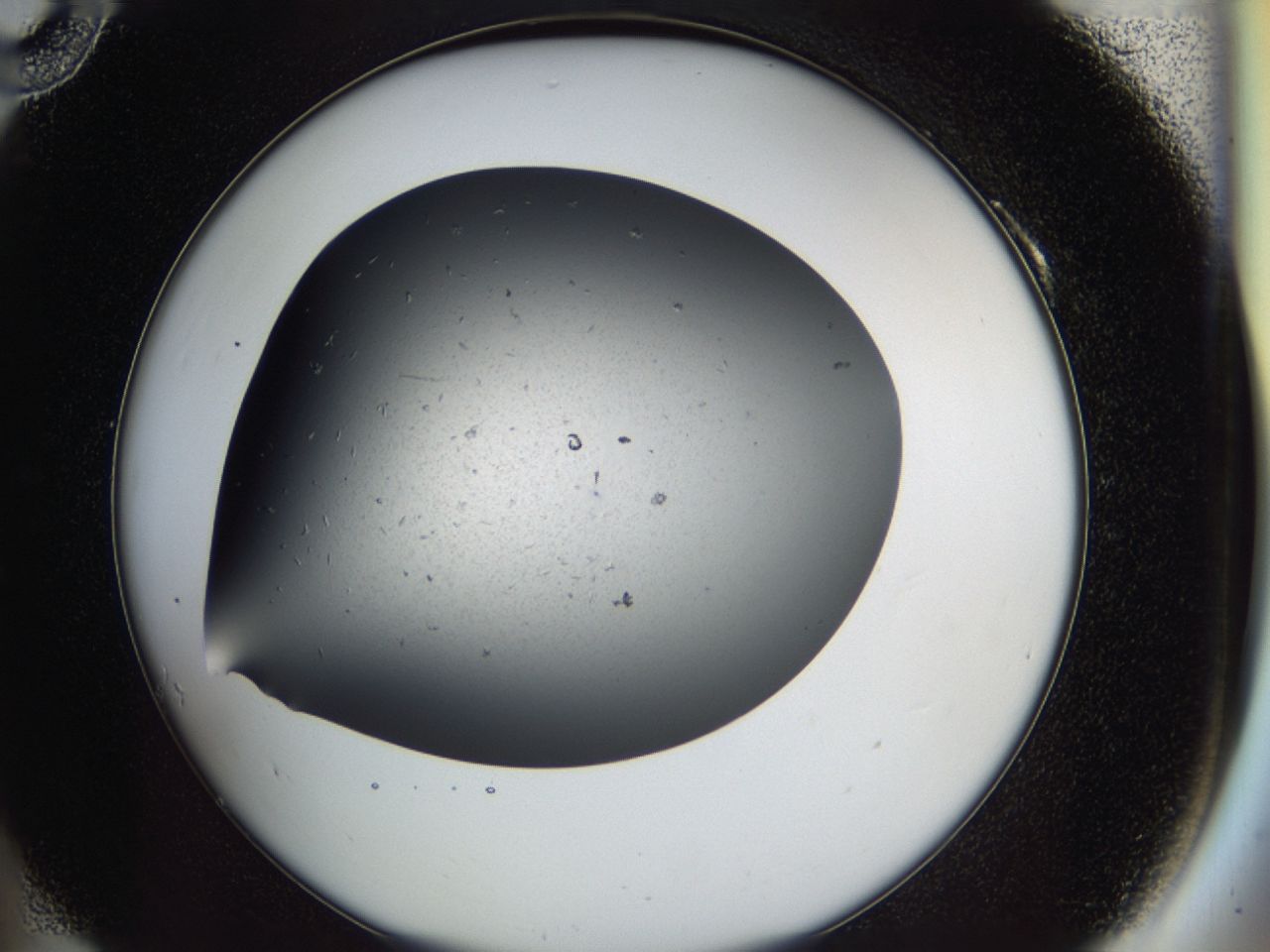 0417_A10_ImagerDefaults_8.jpg