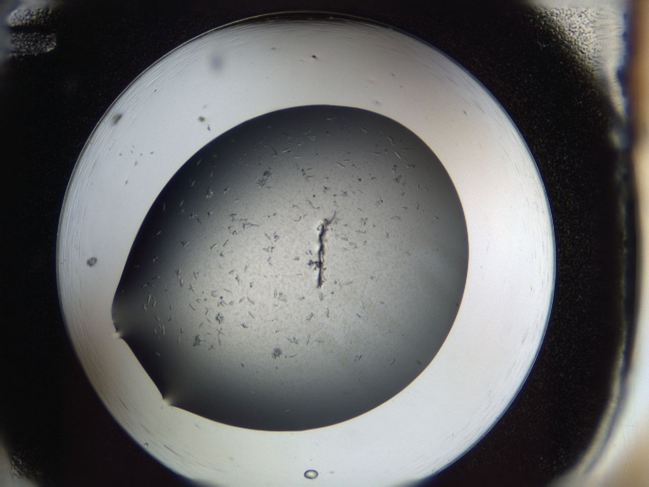 0417_A12_ImagerDefaults_8.jpg