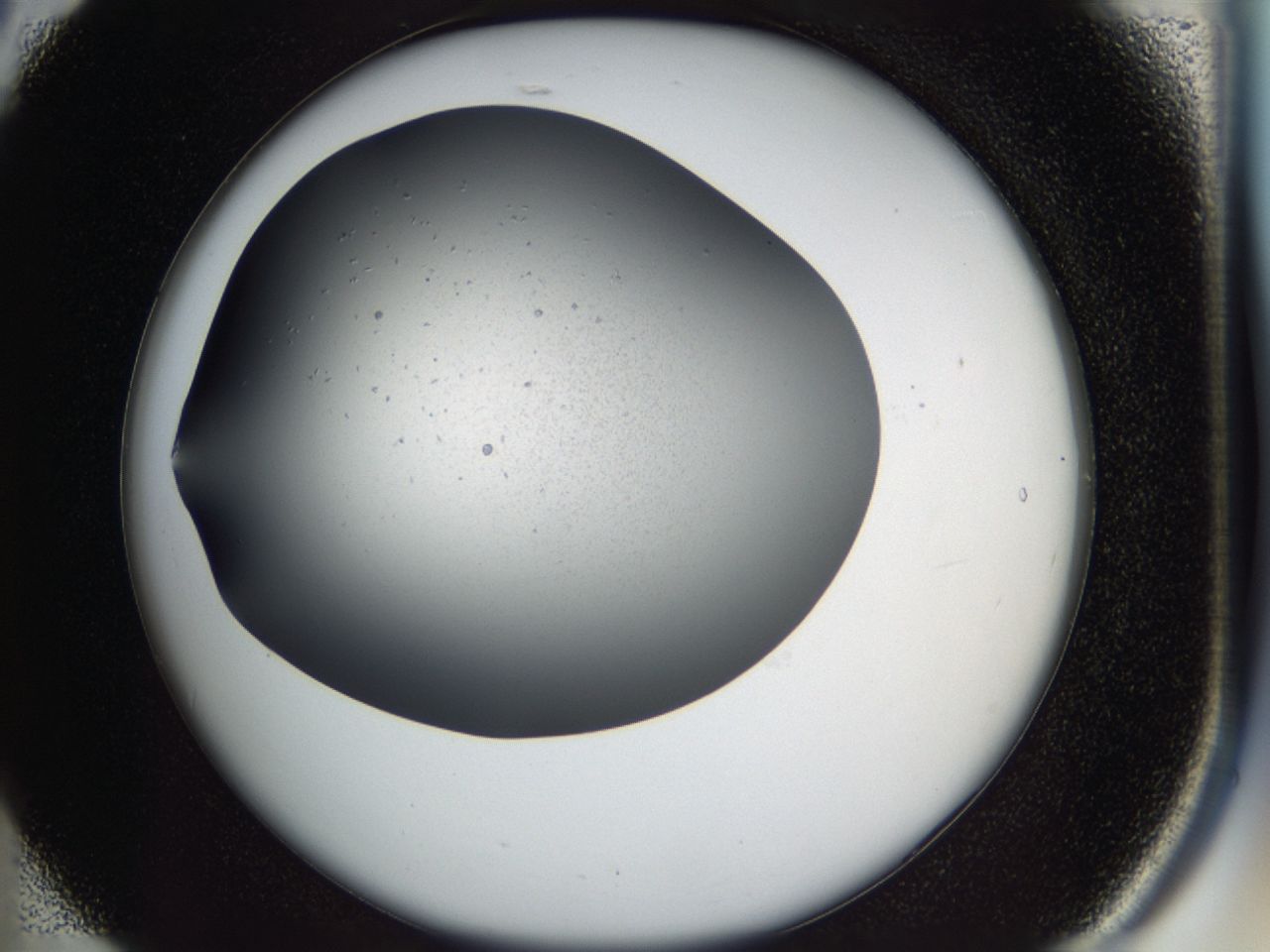 0417_B5_ImagerDefaults_8.jpg