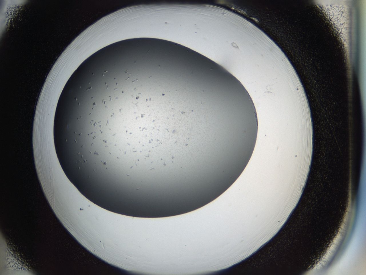 0417_B6_ImagerDefaults_8.jpg
