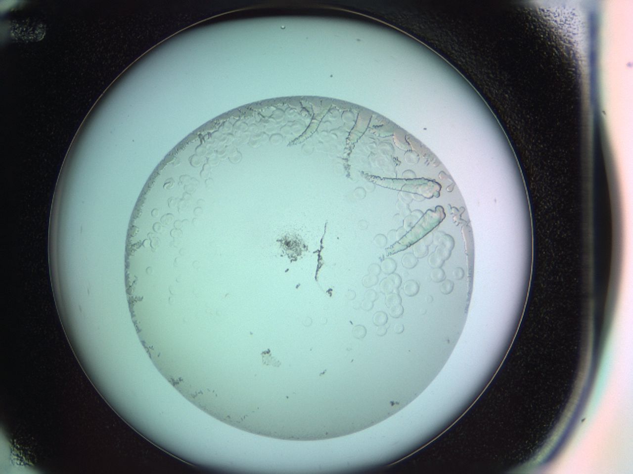 041b_D12_ImagerDefaults_9.jpg