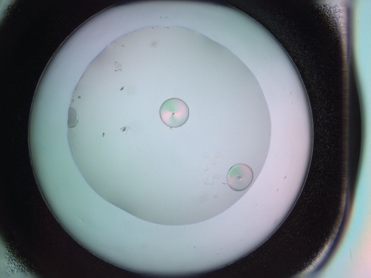041b_D6_ImagerDefaults_6.jpg