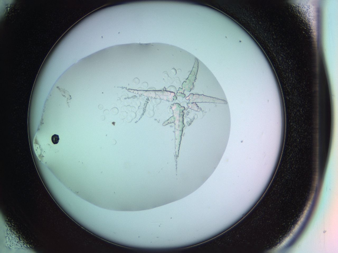 041b_D5_ImagerDefaults_9.jpg