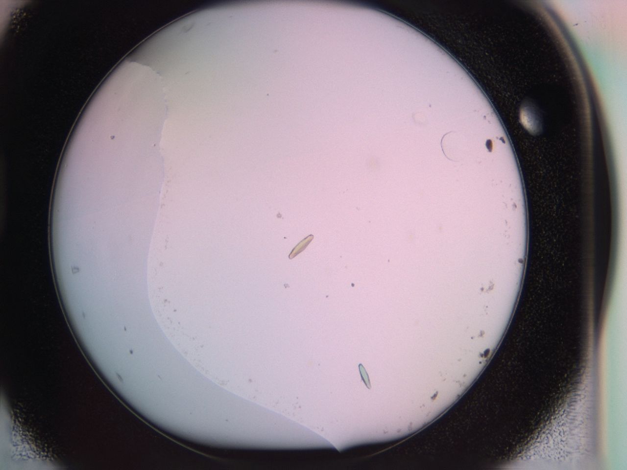041b_D1_ImagerDefaults_9.jpg