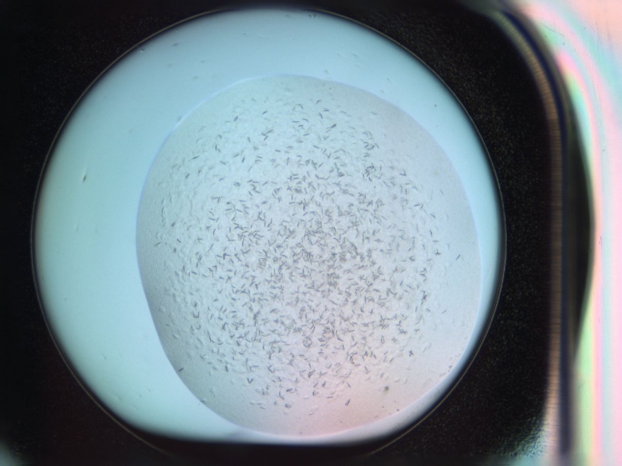 041d_G9_ImagerDefaults_6.jpg