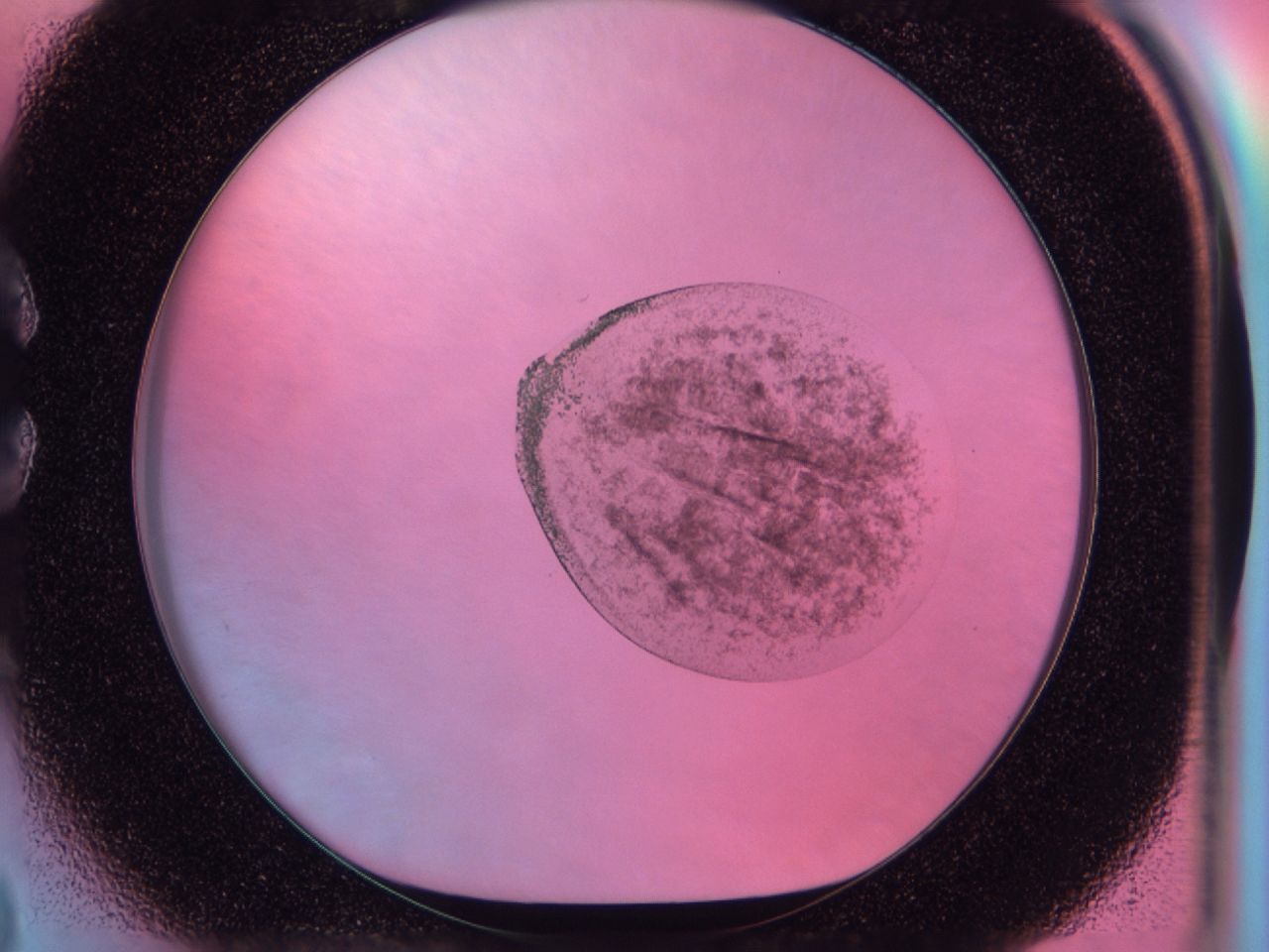 041n_C3_ImagerDefaults_6.jpg