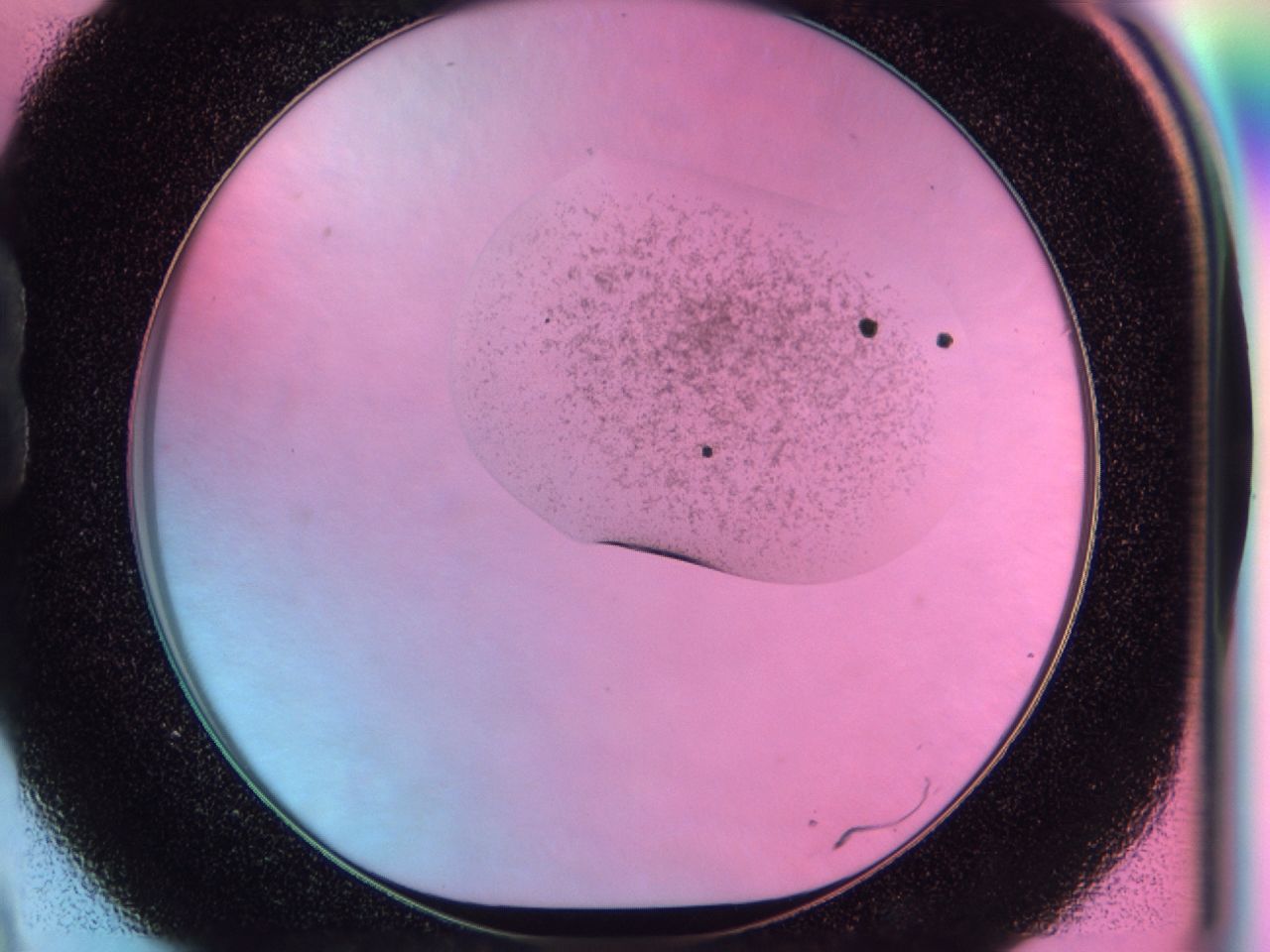 041n_B9_ImagerDefaults_6.jpg