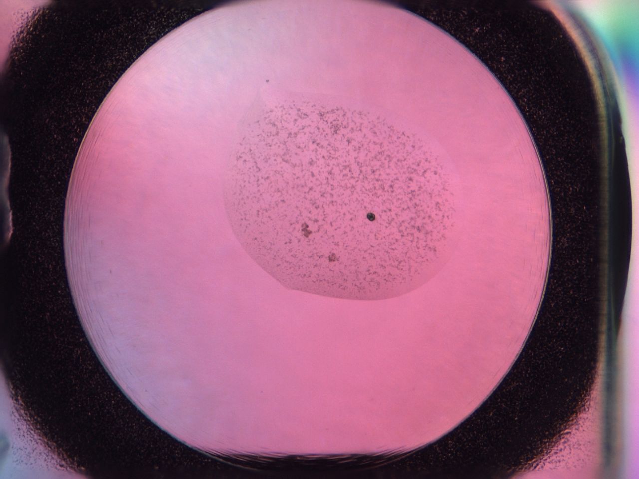 041n_B7_ImagerDefaults_6.jpg