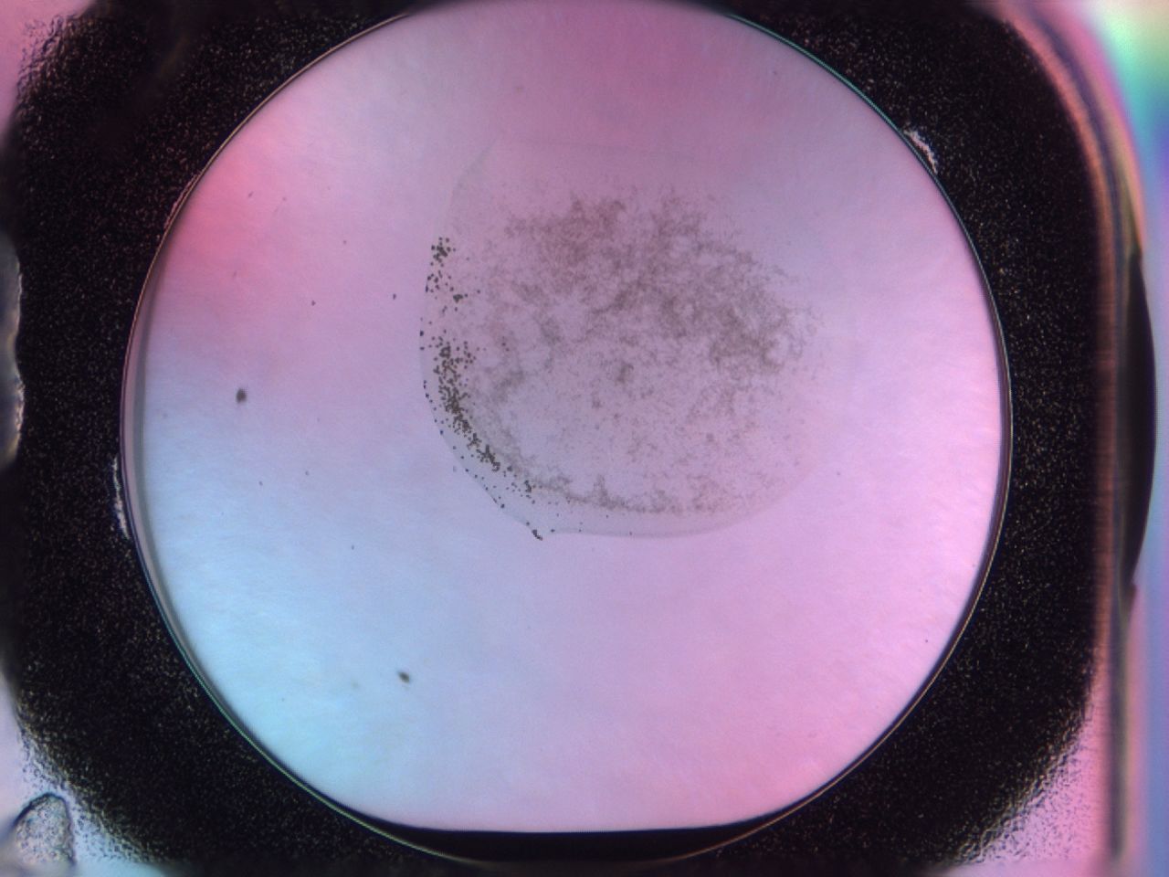 041n_B11_ImagerDefaults_6.jpg