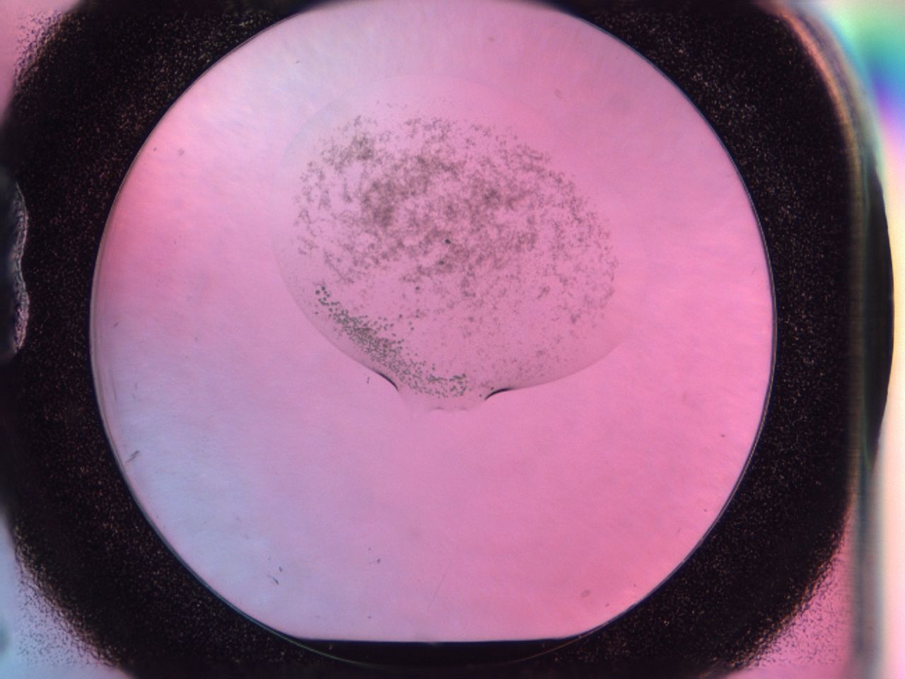 041s_B6_ImagerDefaults_6.jpg