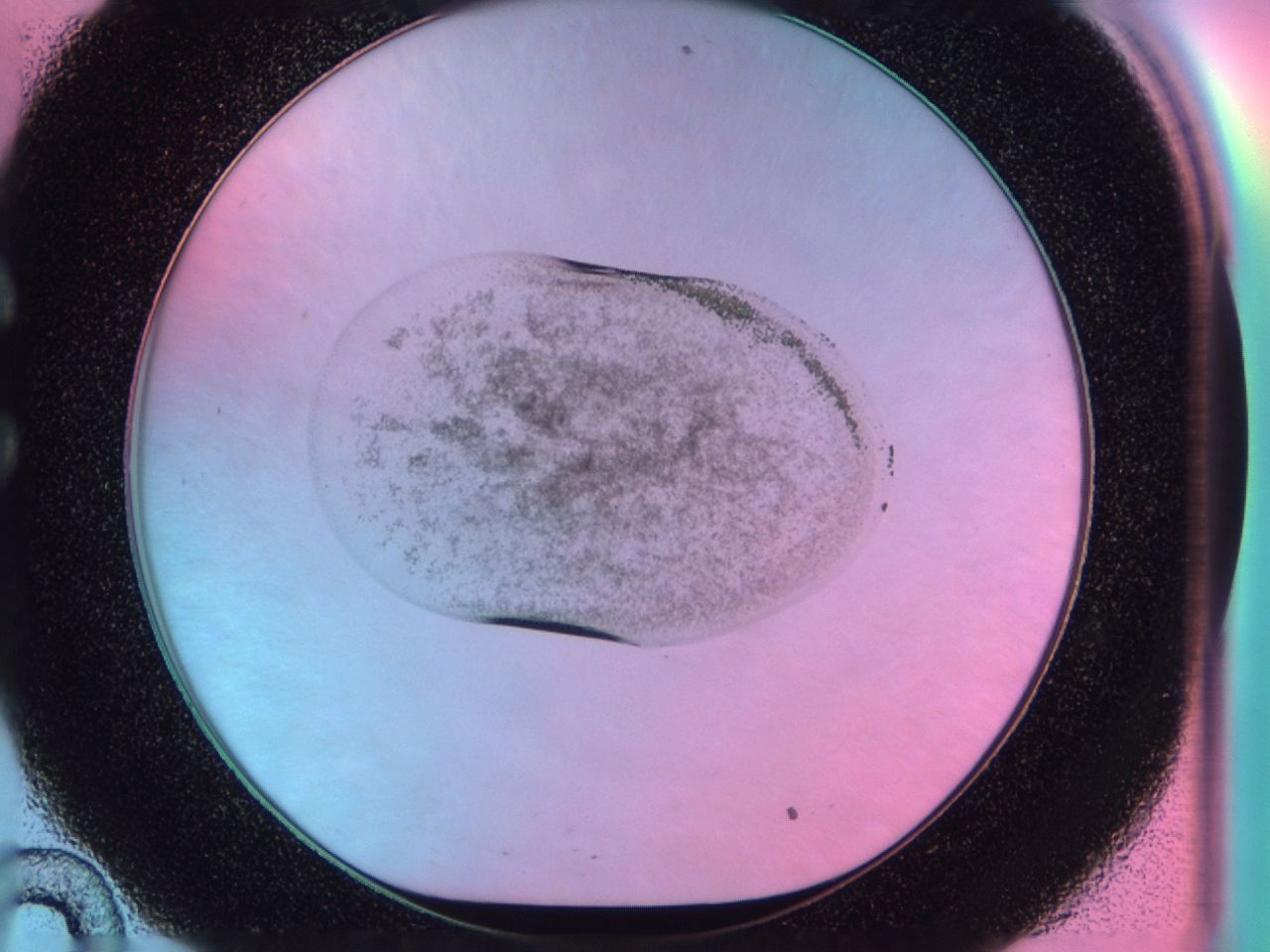 041s_C10_ImagerDefaults_6.jpg