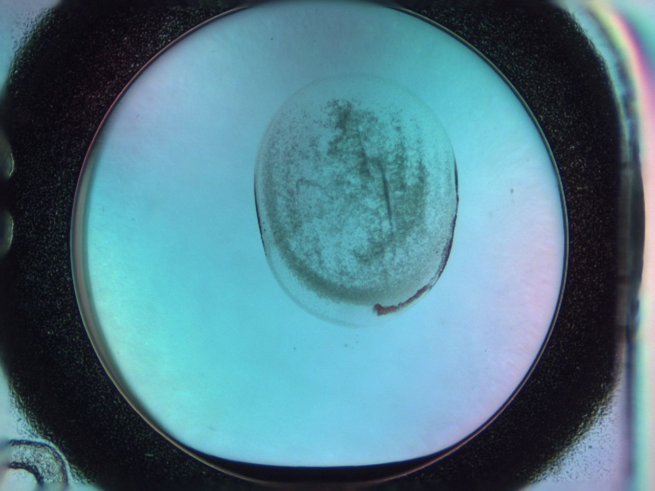 041s_C12_ImagerDefaults_6.jpg