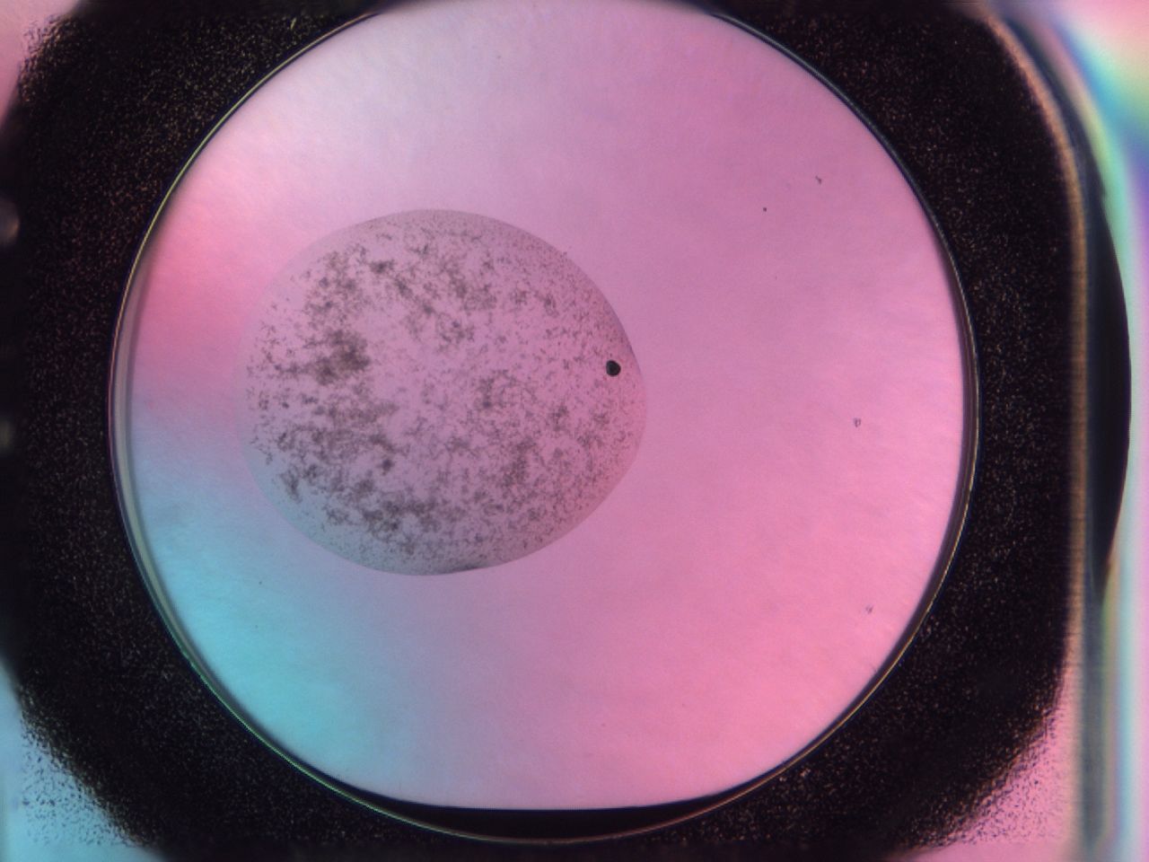 041s_E4_ImagerDefaults_6.jpg