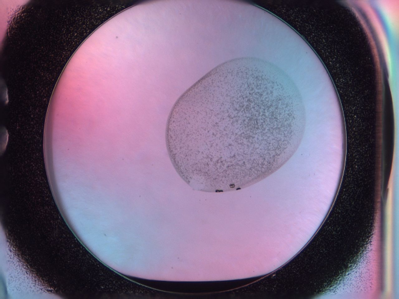 041v_C9_ImagerDefaults_6.jpg