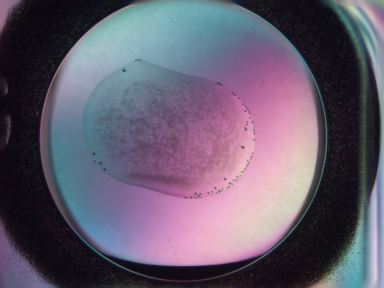 041v_G4_ImagerDefaults_6.jpg