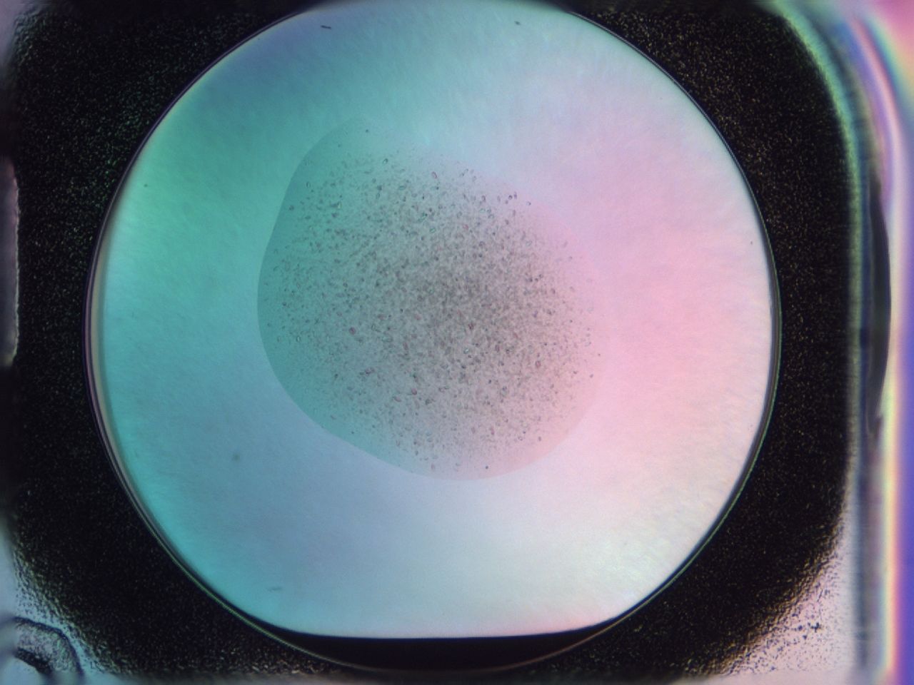 041w_H10_ImagerDefaults_9.jpg