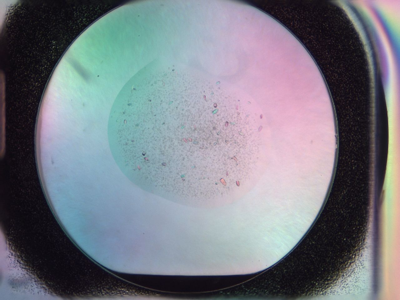 041w_H7_ImagerDefaults_9.jpg