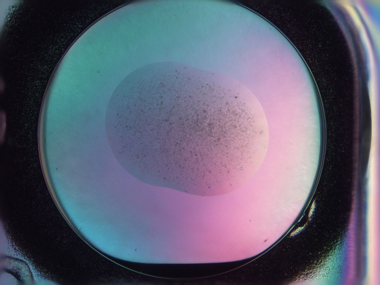 041w_G10_ImagerDefaults_9.jpg