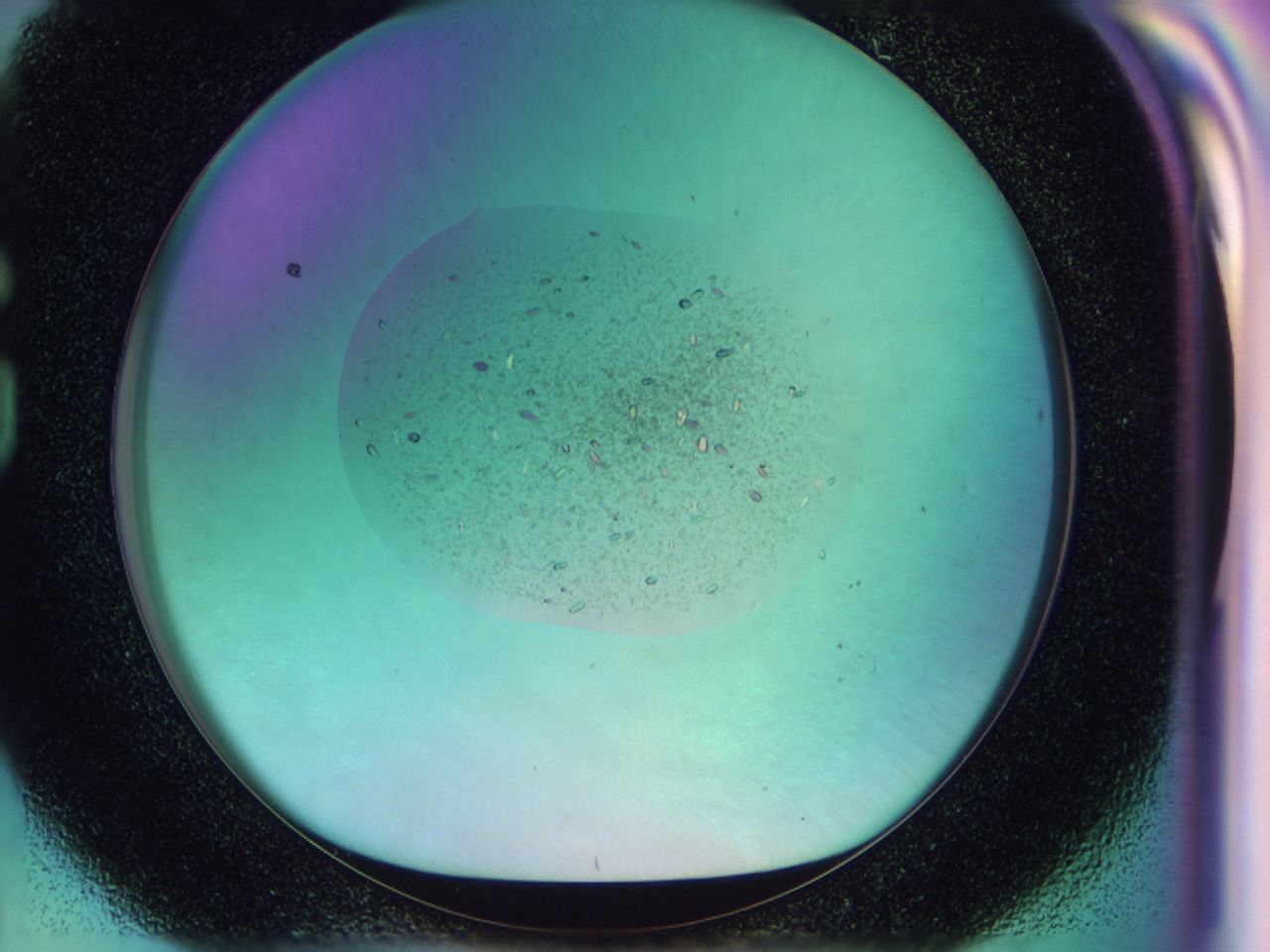 041w_G8_ImagerDefaults_9.jpg