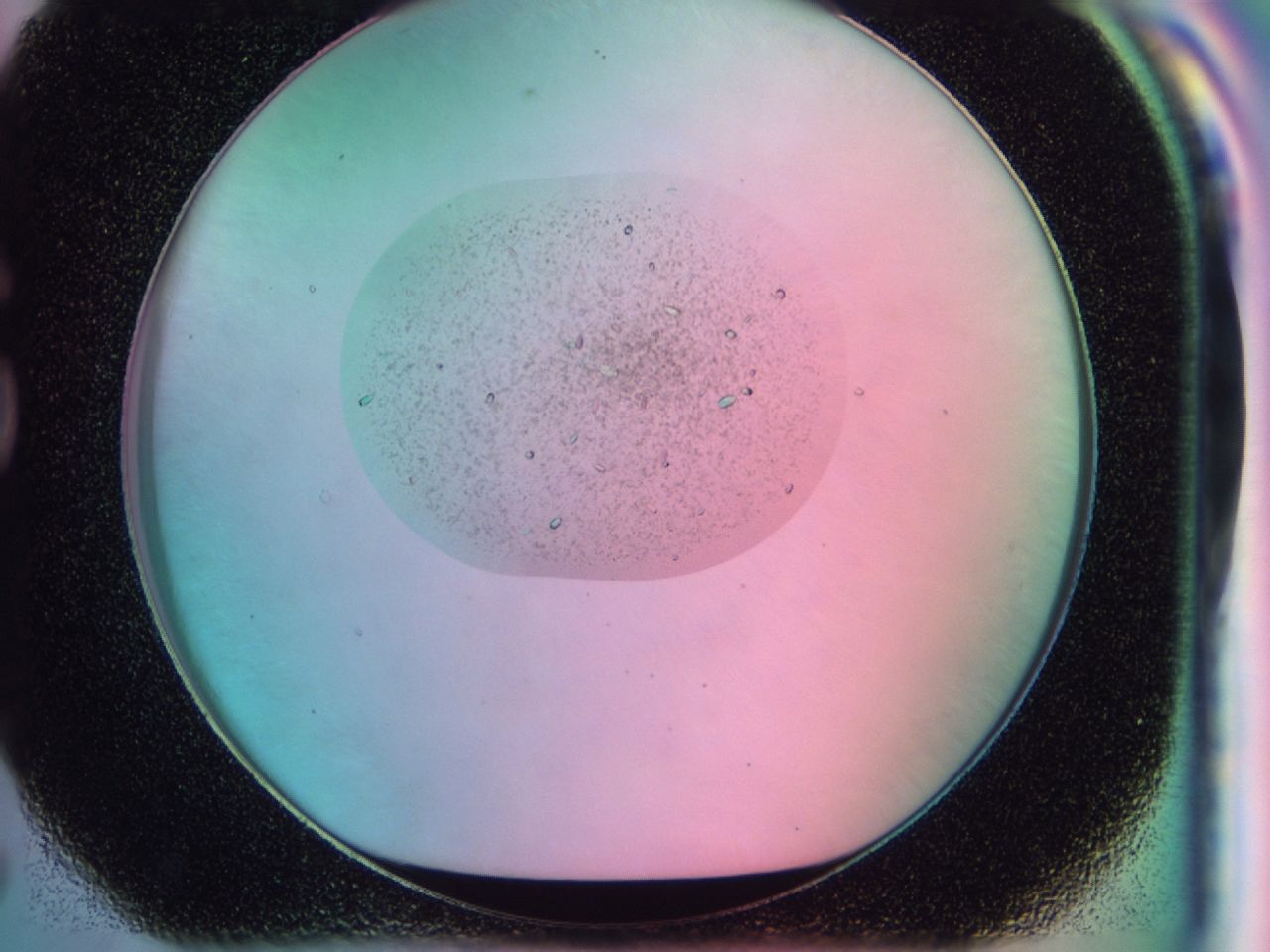 041w_G7_ImagerDefaults_9.jpg