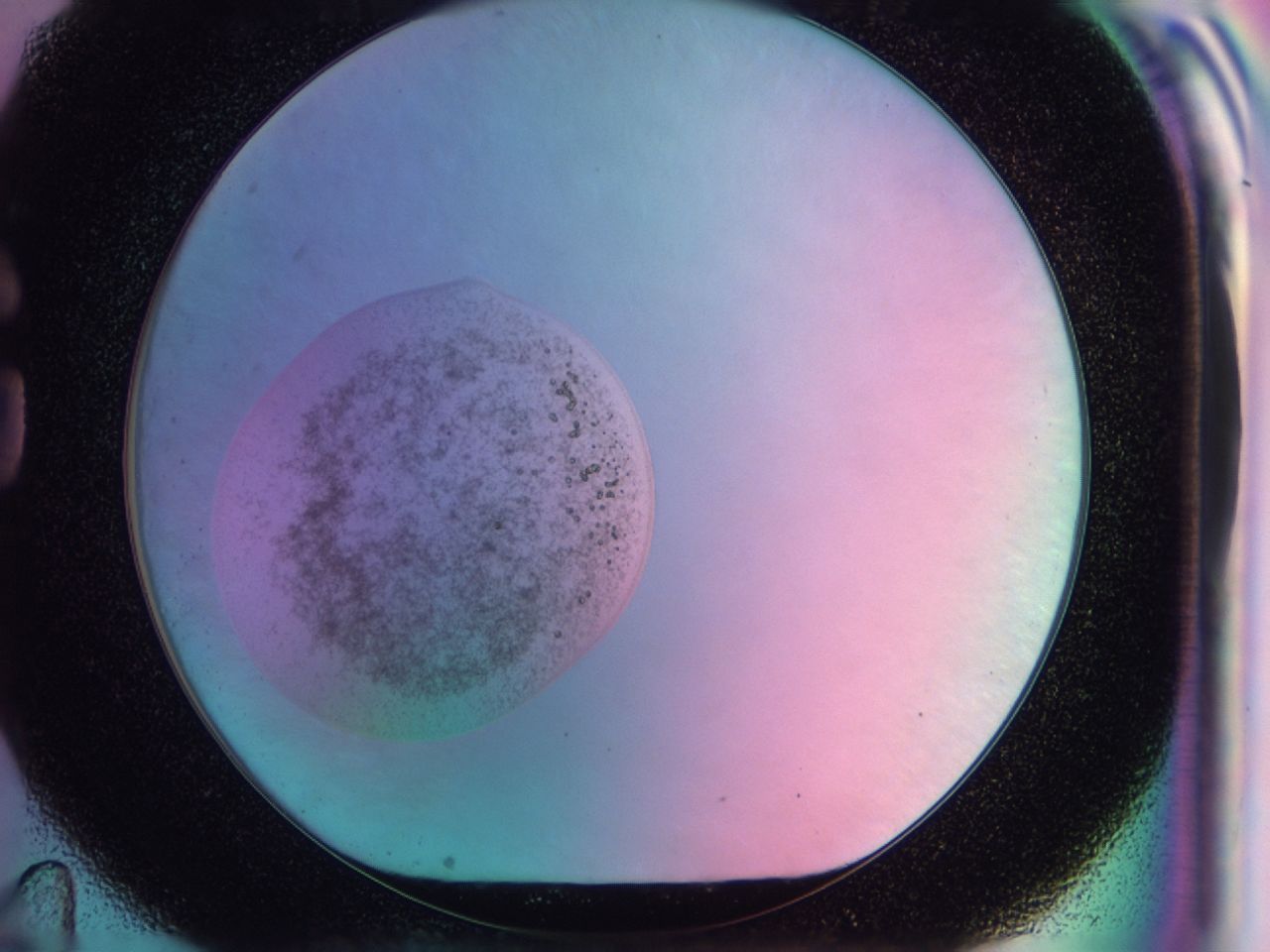 041x_G11_ImagerDefaults_6.jpg