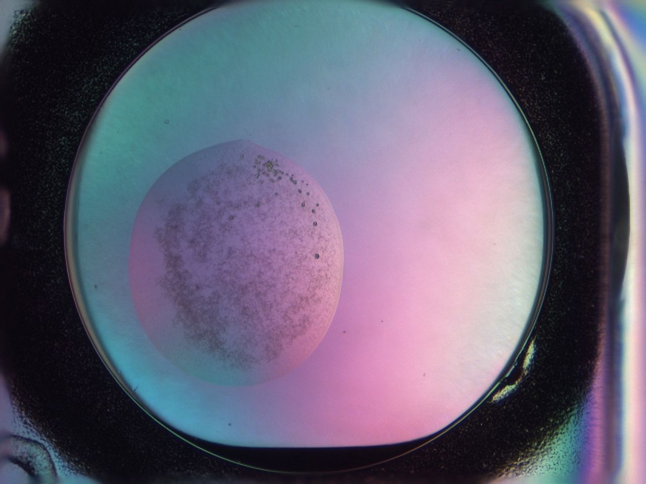 041x_G10_ImagerDefaults_6.jpg