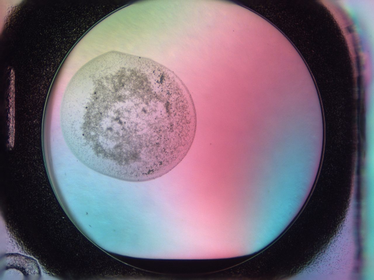 041x_H12_ImagerDefaults_6.jpg