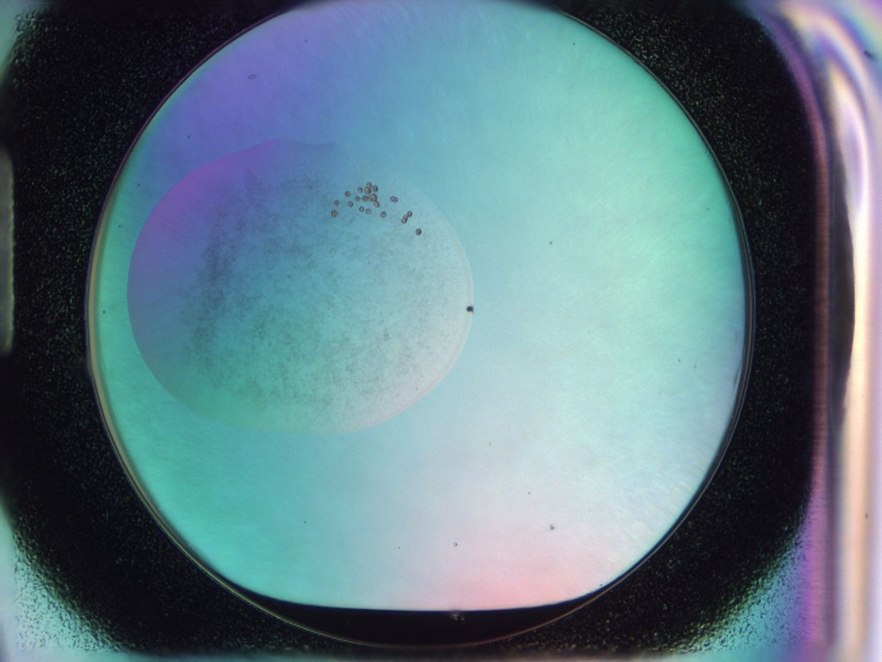 041x_H9_ImagerDefaults_6.jpg